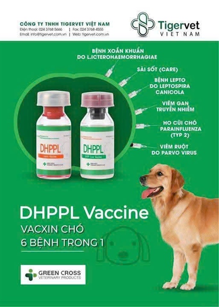 #TG VACEN CHÓ (6 bệnh)
