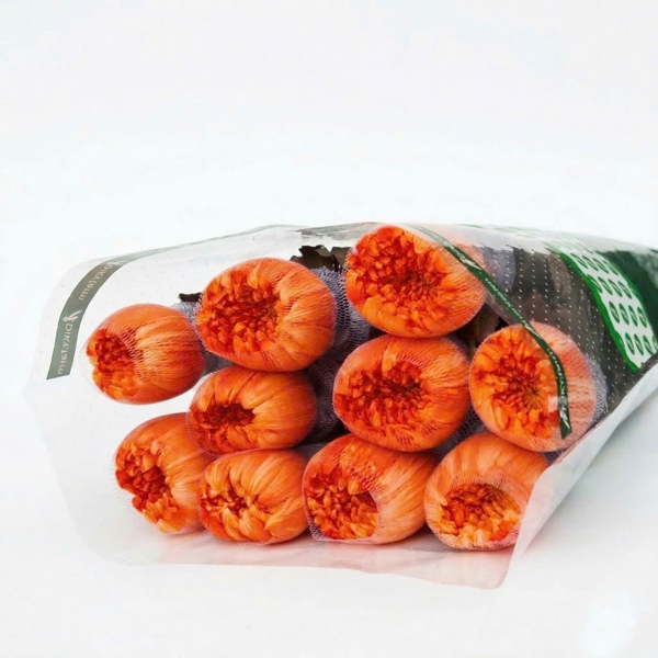 Hoa Cúc Makoto Cà Rốt