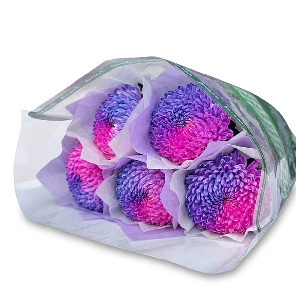 Hoa Cúc Mẫu Đơn Tím + Hồng