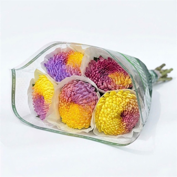 Hoa Cúc Mẫu Đơn Tím + Vàng