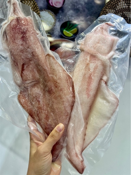 MỰC ỐNG ĐẠI nguyên con làm sạch, rửa sạch