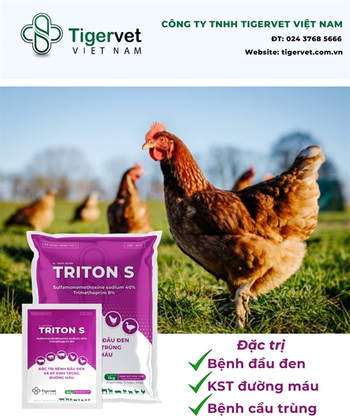 TG TRITON S (1KG) (10:1)