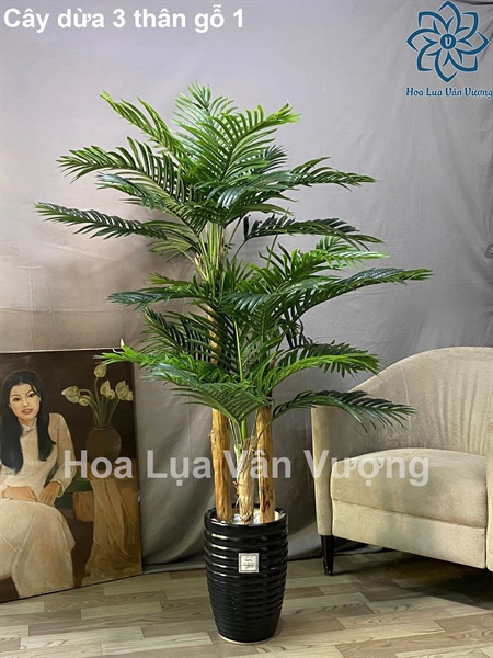 Cây dừa 3 thân gỗ - Cây - Hoa Lụa Vân Vượng