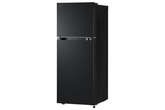Tủ lạnh LG Inverter 217 lít LTB21BLMI Mẫu mới