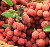 Vải