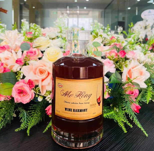 Rượu khai vị Mơ Hồng GBM 750ml (15%)