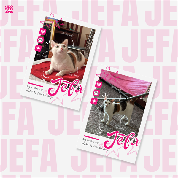 Polaroid Con Bò - Jefa