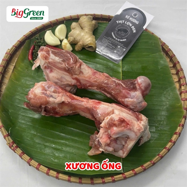 Xương Cục Lợn Đen - Xứ Mường