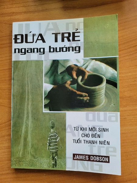 ĐỨA TRẺ NGANG BƯỚNG