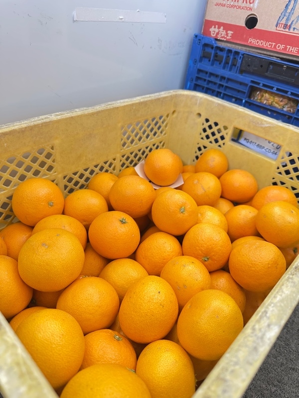 Cam size nhỏ