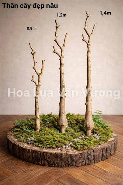 Thân cây 1,4m đẹp - Cây - Hoa Lụa Vân Vượng