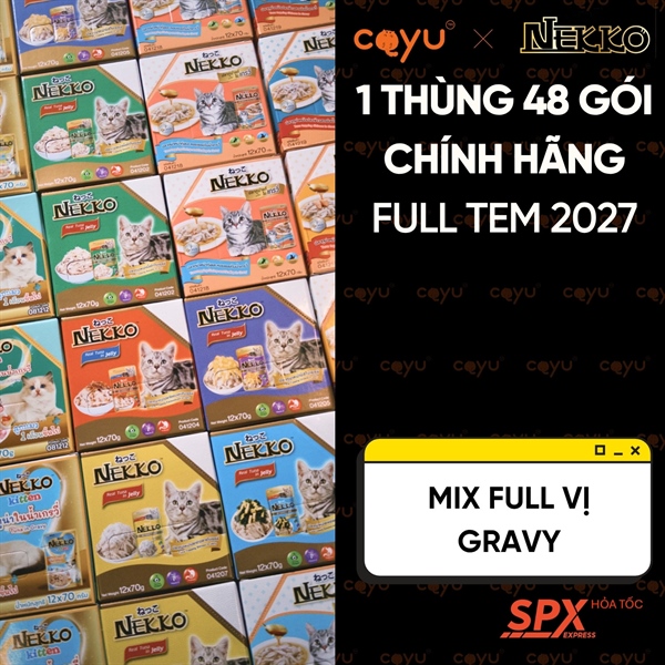 Combo Mix 1 Thùng - Nekko Adult Gravy