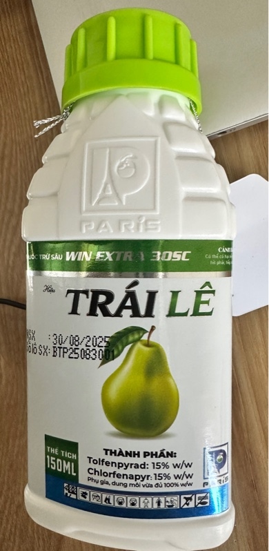Trái lê sữa - Bọ trĩ, rầy xanh, sâu đục trái