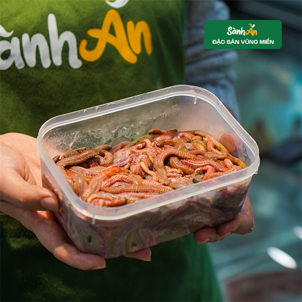 Rươi Tươi Hải Dương