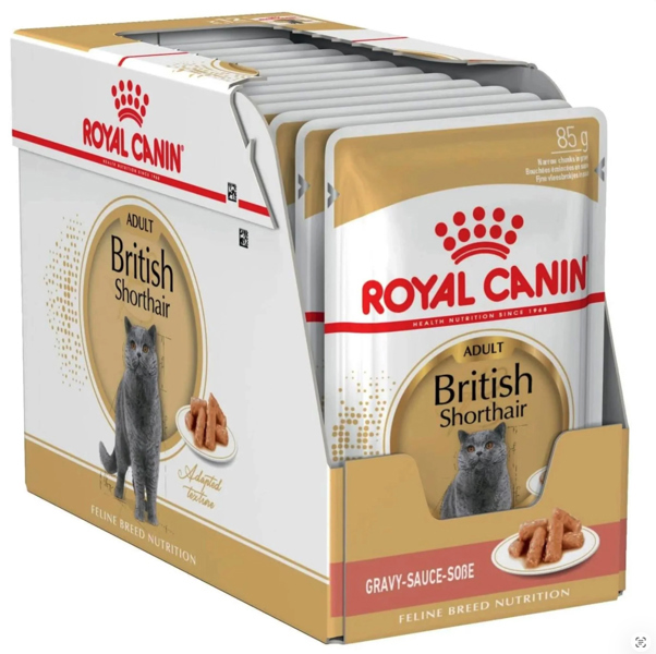 ROYAL CANIN PATE GRAVY 12 GÓI
