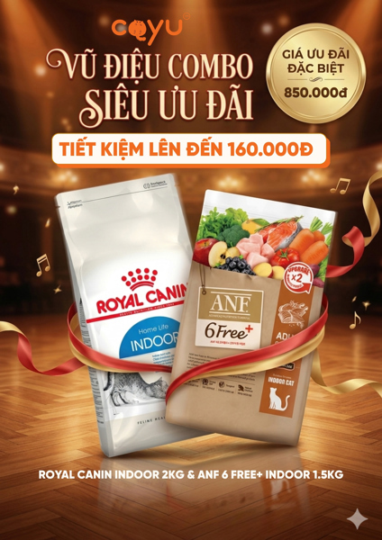 COMBO KHIÊU VŨ - ROYAL CANIN & ANF INDOOR