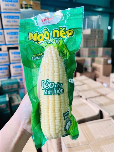 NGÔ NẾP TÂY BẮC / NORTHWEST STICKY CORN