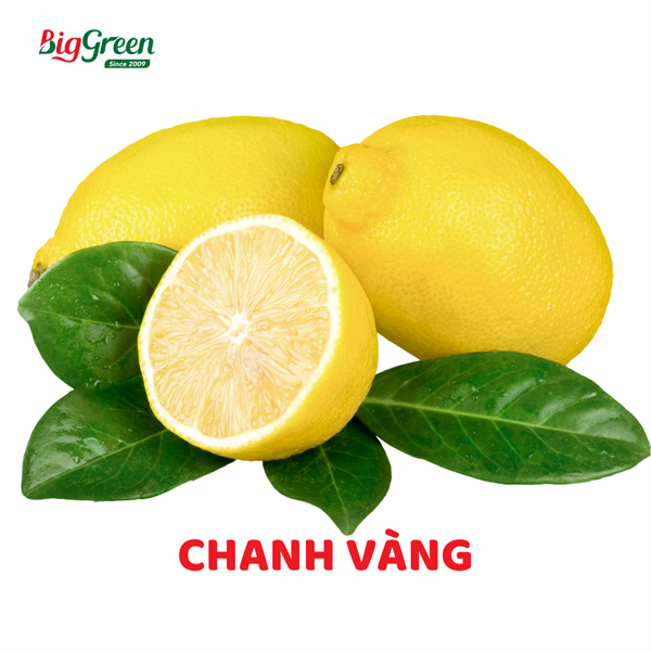 Chanh Vàng