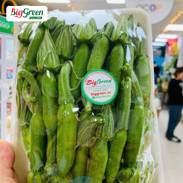 Nụ Bí Bao Tử Hàn Quốc