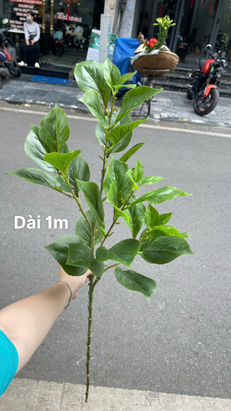 Lá tú cầu 4n - Lá cành dài - Hoa Lụa Vân Vượng