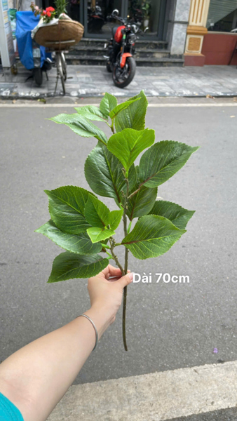 Lá tú cầu 2n - Lá cành dài - Hoa Lụa Vân Vượng