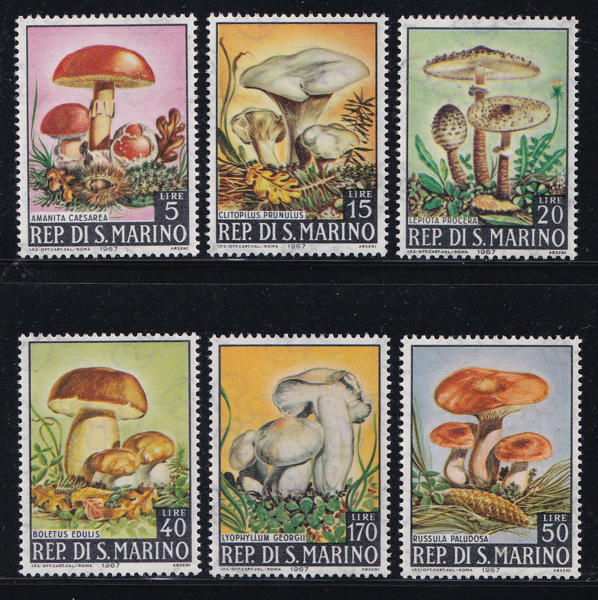 Bộ 6 Tem Bưu Chính San Marino - Nấm | San Marino - Mushrooms 1967 (6) | Mint