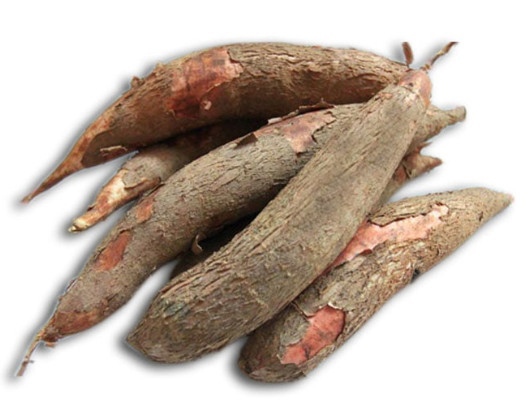 Khoai Mì