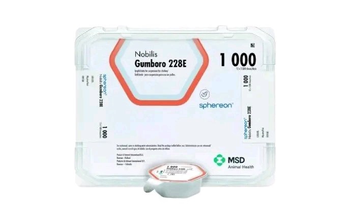 #MSD GUMBORO 228E (1000DS)