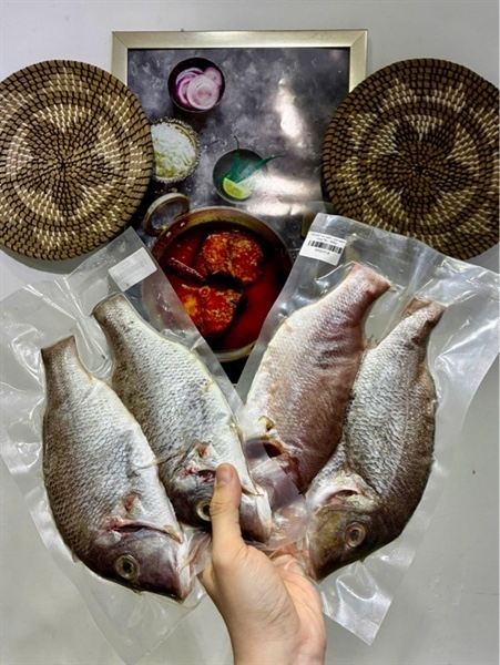 CÁ GÁY làm sạch, rửa sạch