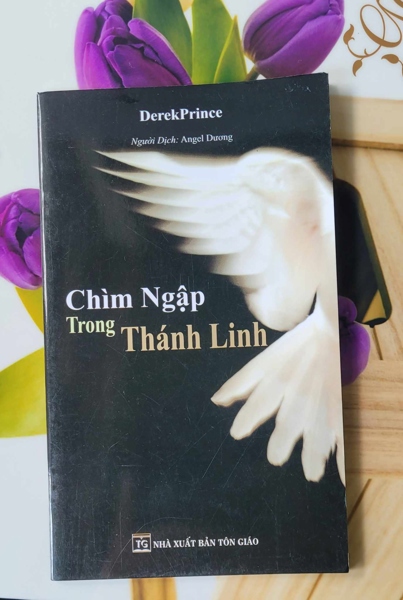 CHÌM NGẬP TRONG THÁNH LINH