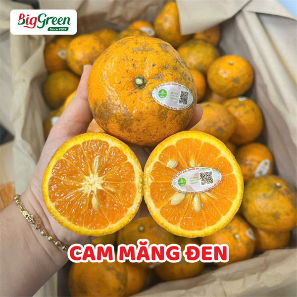 Cam Măng Đen (Kg)