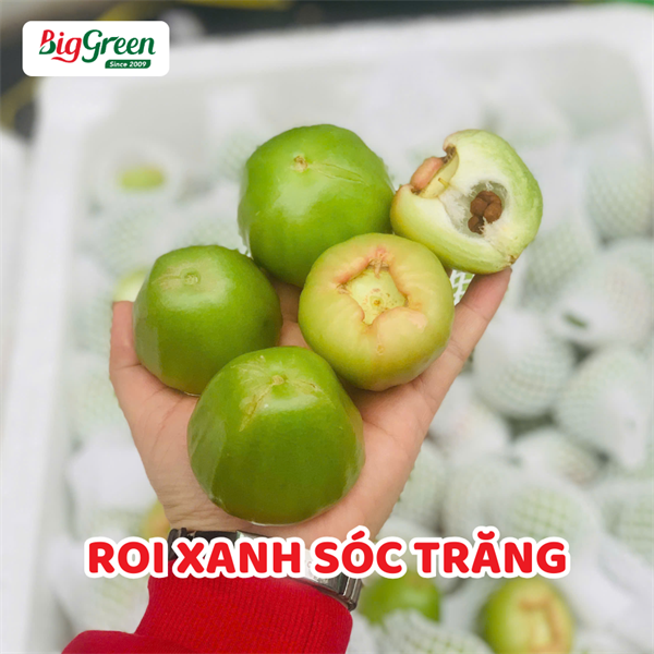 Roi Xanh Sóc Trăng