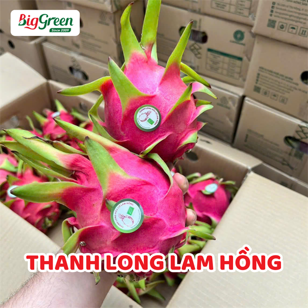 Thanh Long Lam Hồng