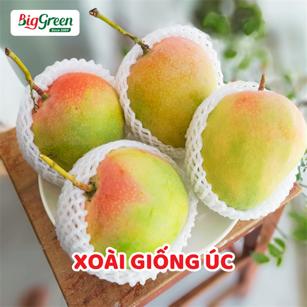 Xoài Giống Úc