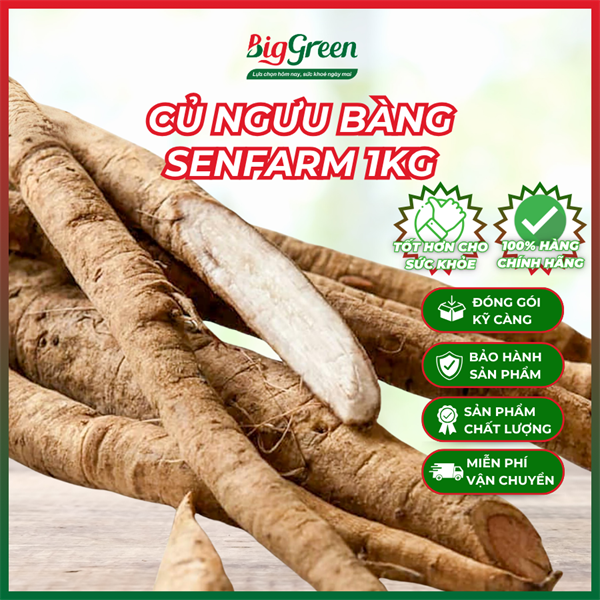 Củ Ngưu Bàng Tươi