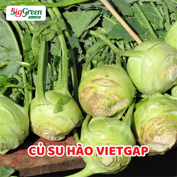 Củ Su Hào VietGap