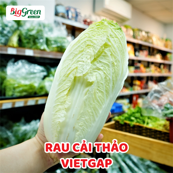 Rau Cải Thảo Vietgap