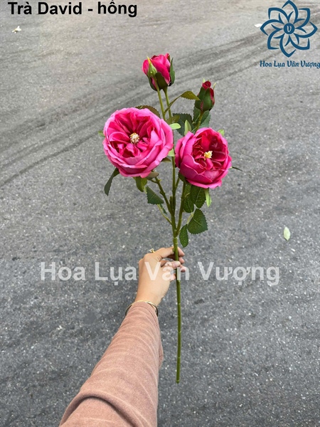 Trà david - Hồng - Hoa cành dài - Hoa Lụa Vân Vượng