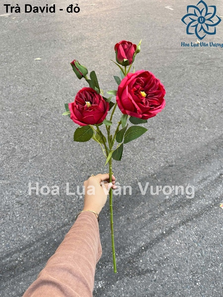 Trà david - Đỏ - Hoa cành dài - Hoa Lụa Vân Vượng