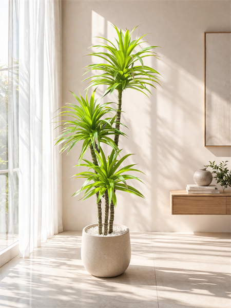 Cây phát tài phú quý 1,5m - có chậu - Cây - Hoa Lụa Vân Vượng