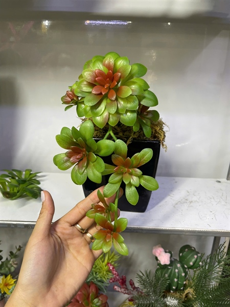 Hoa đá rủ - Hoa đá - Hoa Lụa Vân Vượng
