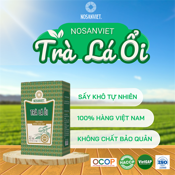 TRÀ LÁ ỔI (62.5g hộp giấy mẫu mới)