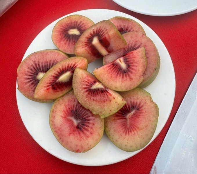 Kiwi newzeland ruột đỏ
