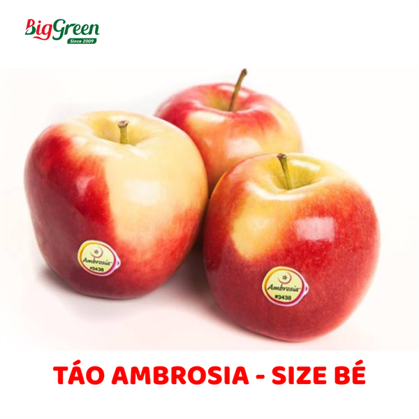 Táo Ambrosia Size Bé