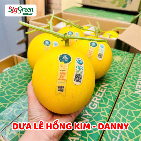 Dưa Lê Hồng Kim - Danny
