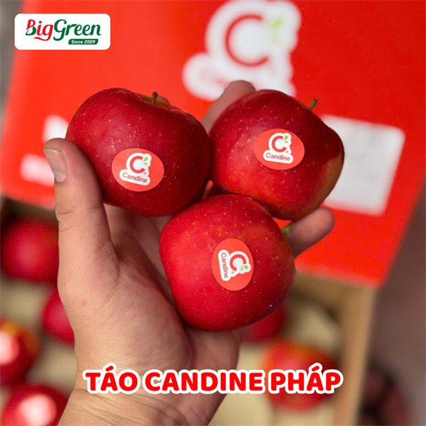 Táo Candine Pháp
