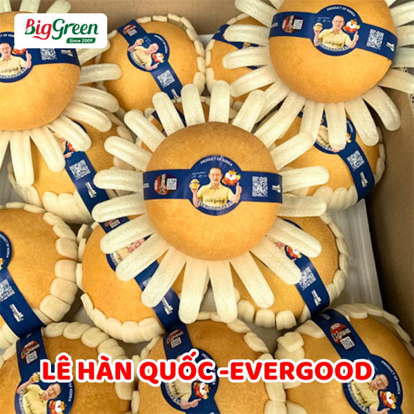 Lê Hàn Quốc - EverGood