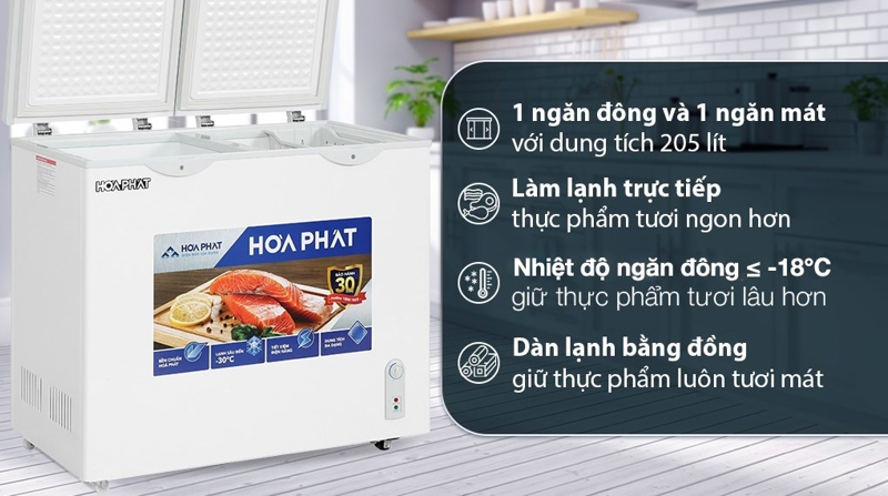 Tủ đông Hòa Phát 205 Lít HPF BD6205
