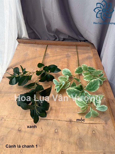 Cành lá chanh 1 - Lá cành dài - Hoa Lụa Vân Vượng