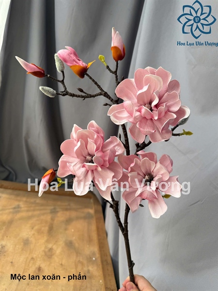 Mộc lan xoăn - Phấn - Hoa cành dài - Hoa Lụa Vân Vượng
